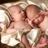 จะตั้งครรภ์ลูกแฝดหรือแฝดด้วยวิธีธรรมชาติได้อย่างไร?
