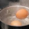 هل يمكن أكل البيض المسلوق بعد التسمم؟