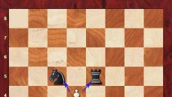تأثير الشطرنج على الذكاء دورات أون لاين للدماغ والتفكير والذاكرة