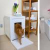 Ako si vybrať podstielku pre mačky: odporúčania veterinárnych lekárov Akú toaletu vybrať pre mačiatko